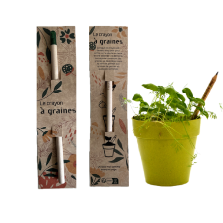 Crayon à planter personnalisé en bois certifié - Sprout