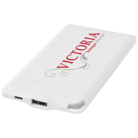 Batterie externe personnalisée WS119 4000 mAh