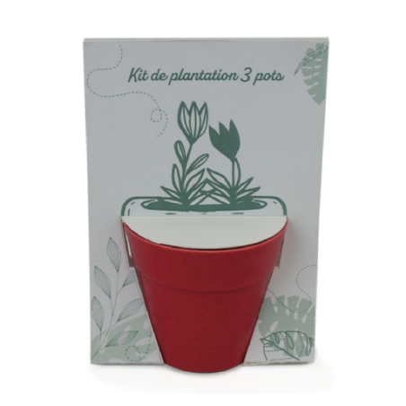 Carte personnalisé avec kit de plantation - Pot en bambou