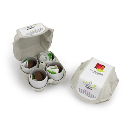 Kit de plantation personnalisé boîte de 4 oeufs 100% biodégradable