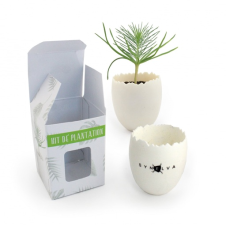 Kit de plantation personnalisé en forme d'oeuf 100% Biodégradable