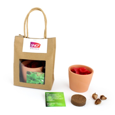 Kit plantation personnalisé sac kraft