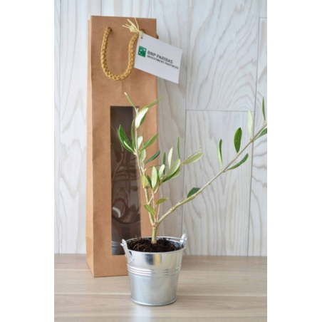 Plant d'arbre personnalisé en sac Kraft Prestige - Made in France