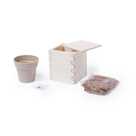 Pot en bois personnalisable avec graines de menthe Merin