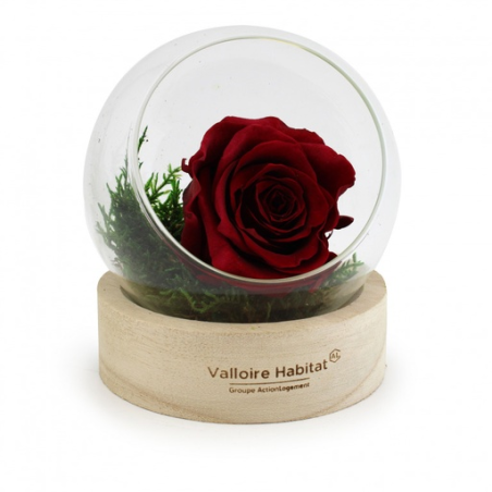 Rose éternelle en terrarium socle en bois personnalisable