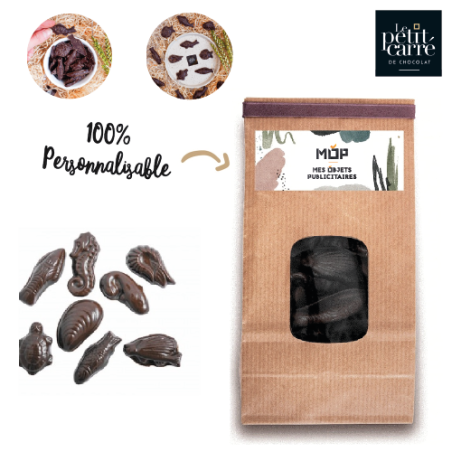 Sachet friture Chocolat noir Bio 100g - Délice