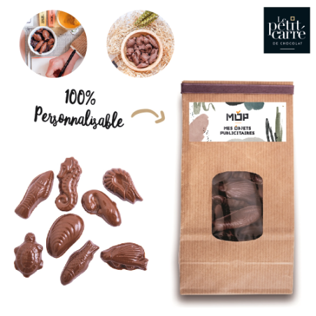 Sachet friture chocolat lait praliné Bio 100g - Délice