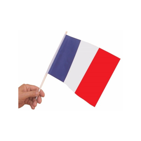 Set de 10 Drapeaux France en polyester 15 x 21 cm