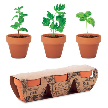 Ensemble de 3 pots en terre personnalisable (menthe, persil, basilic) FLOWERPOT