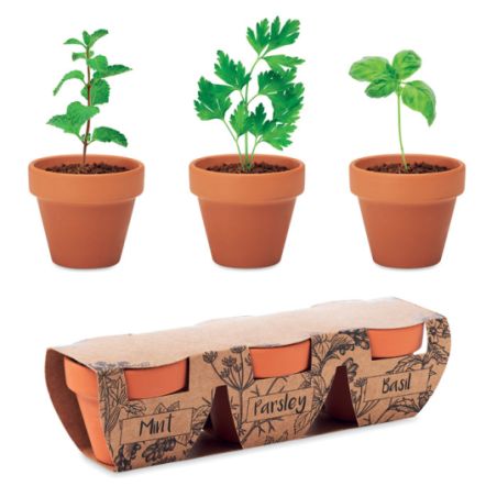 Ensemble de 3 pots en terre personnalisable (menthe, persil, basilic) FLOWERPOT