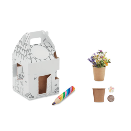 Set personnalisable de culture de graines pour enfant en carton avec crayon multicolore