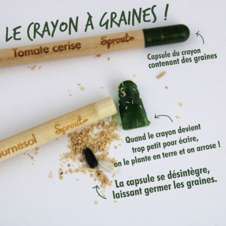 Crayon à planter personnalisé en bois certifié - Sprout