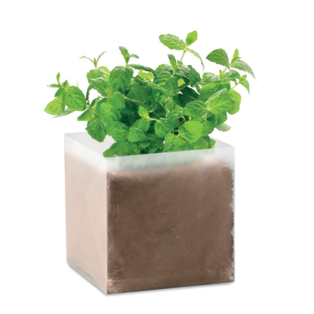 Kit de plantation personnalisable avec substrat et graines de menthe