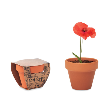 Pot personnalisable avec graines de coquelicot