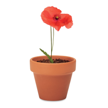 Pot personnalisable avec graines de coquelicot