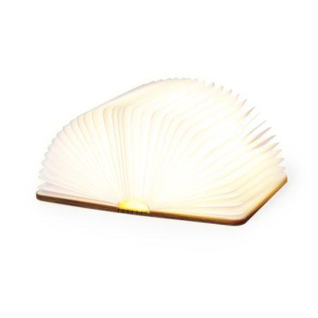 Lampe LED publicitaire en bois Joneson